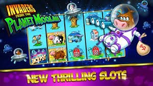 Layar permainan Togel Draw di platform indobetku dengan jadwal undian yang jelas